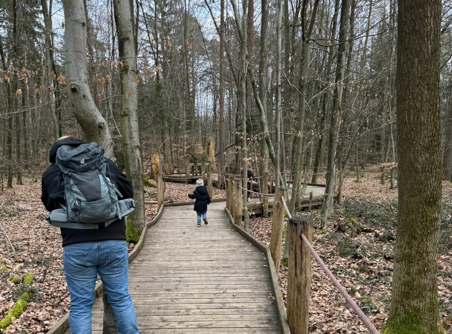 Barrierefreier Waldpfad