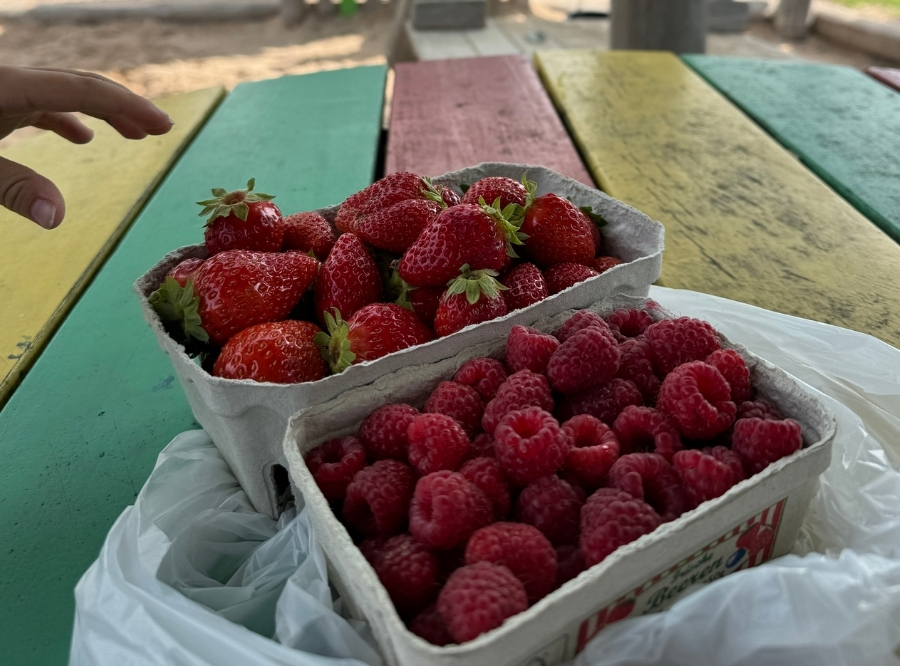 Hofladen mit regionalen Erdbeeren