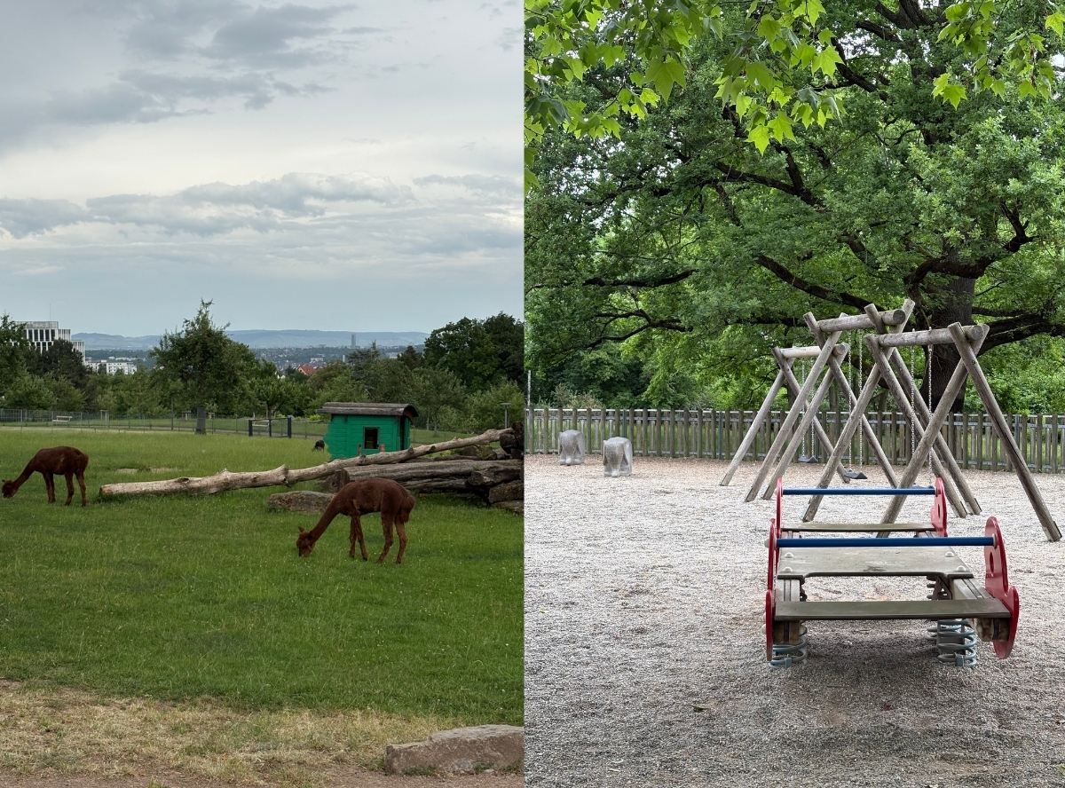 Perfekte Lage im Höhenpark Killesberg mit Tiergehege & Spielplatz