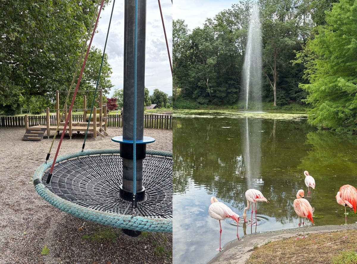 Spielplatz & Tiere machen Kinder glücklich